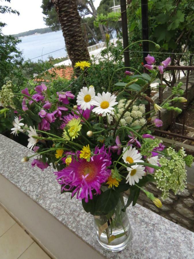 Great Apartment Mali Lošinj Extérieur photo